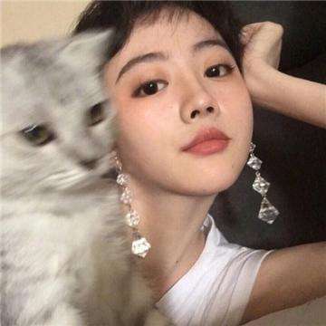 领域防御英雄传奇下载