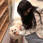 儿童宝宝爱数学游戏下载
